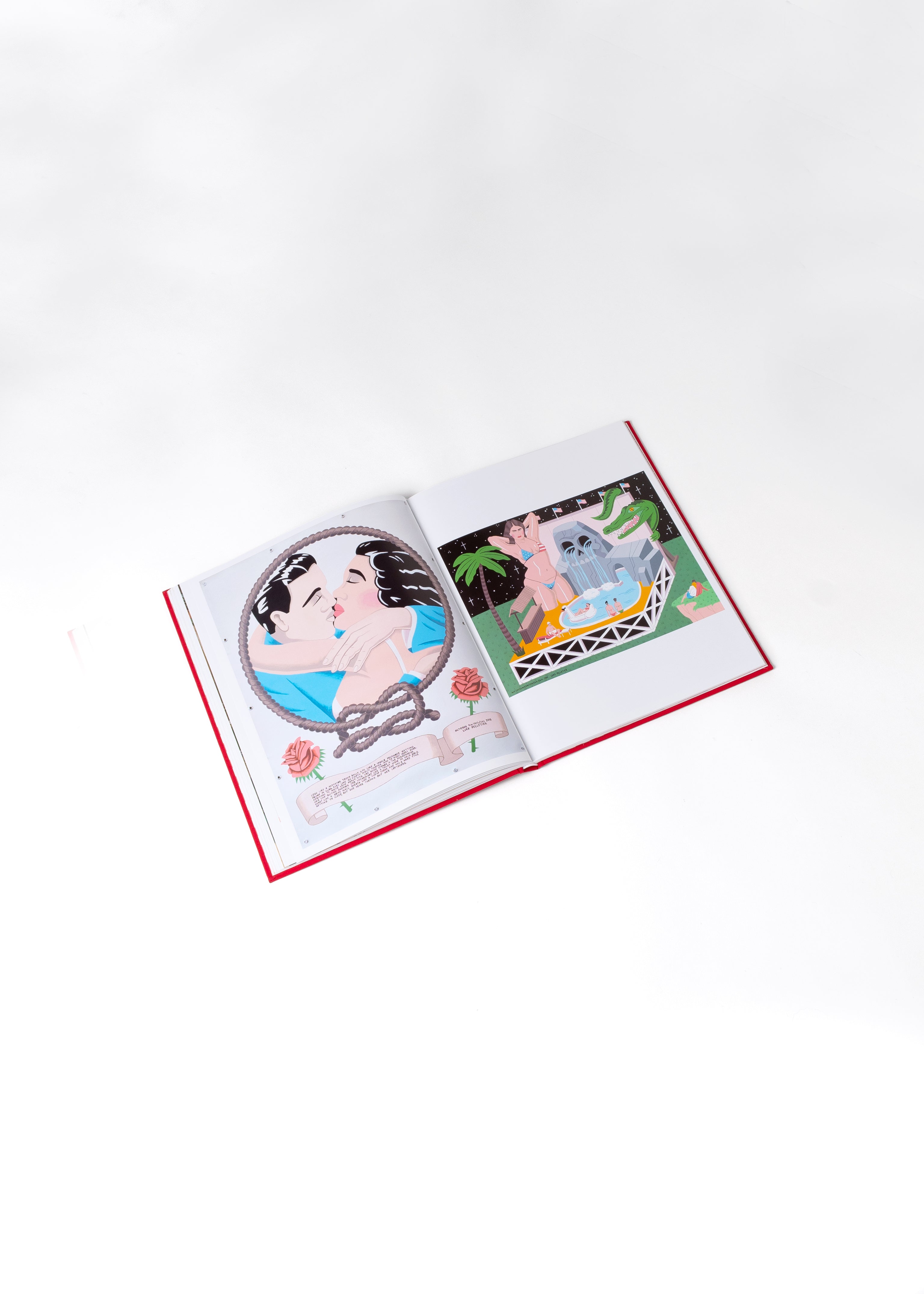 American Fizzle - Signed Special First Edition copy