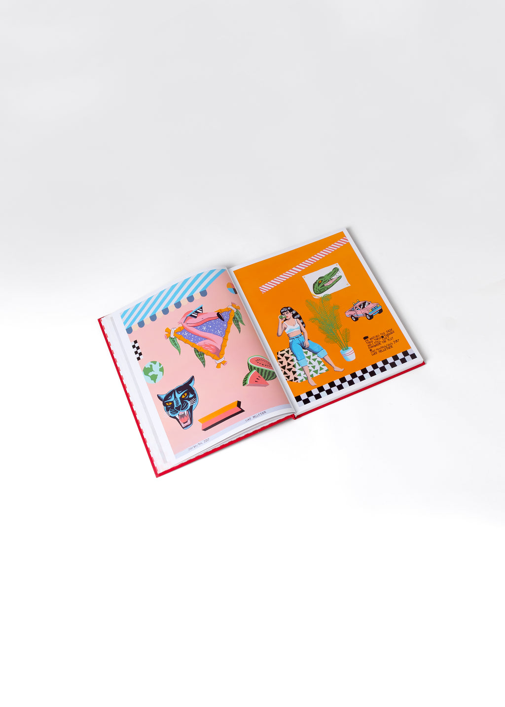 American Fizzle - Signed Special First Edition copy