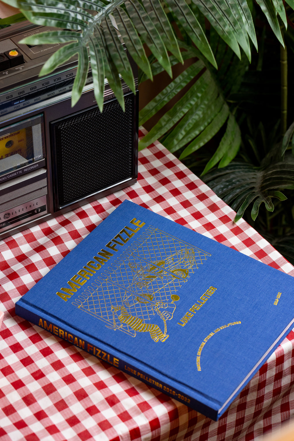American Fizzle - Book