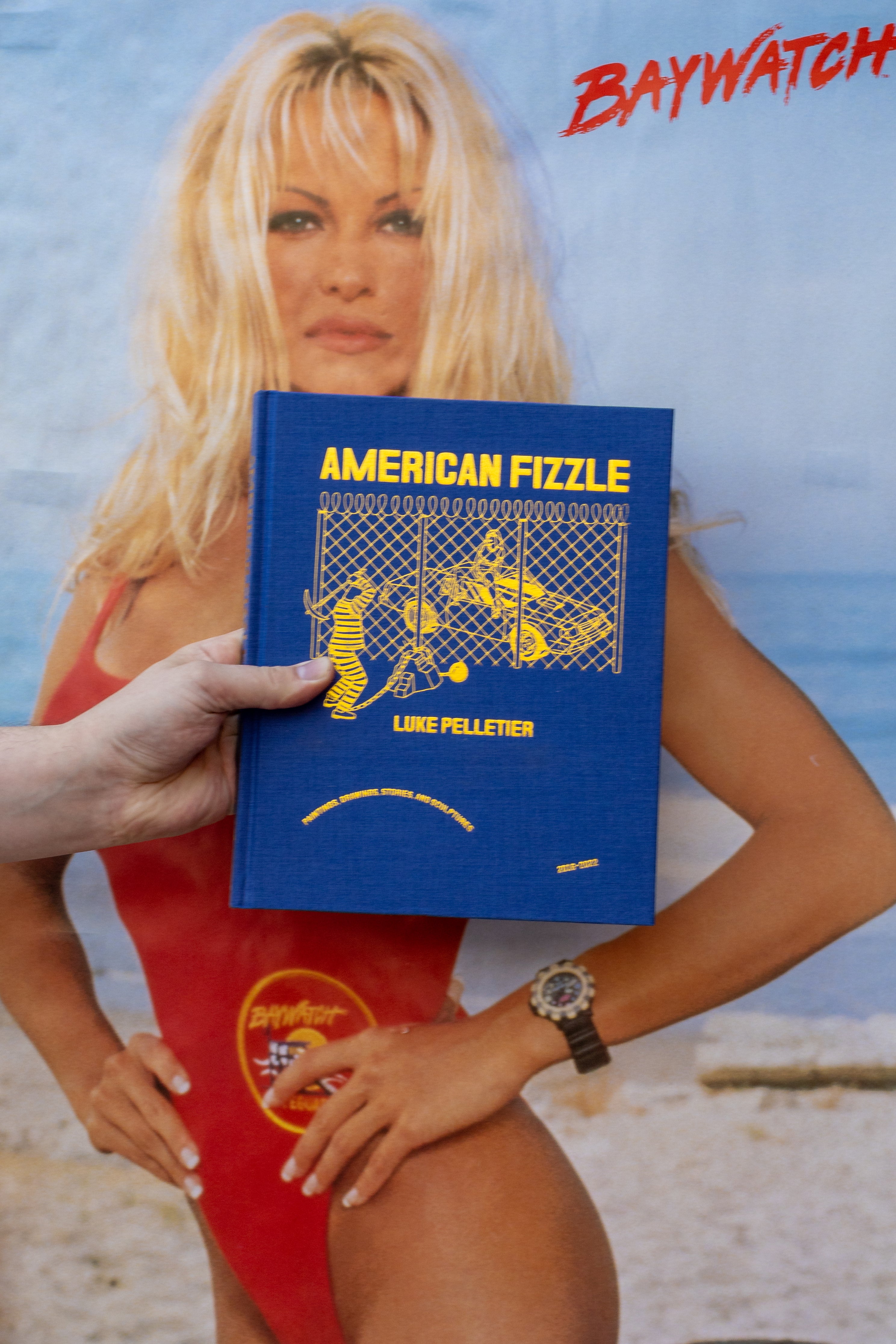 See America Whenever - Book