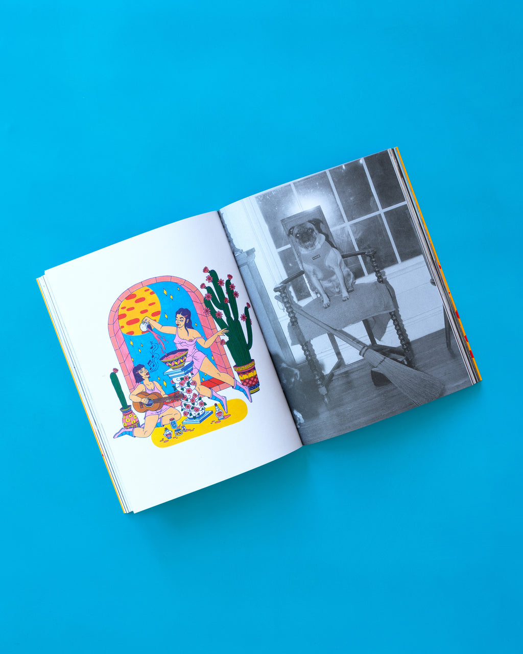 See America Whenever - Softcover Book
