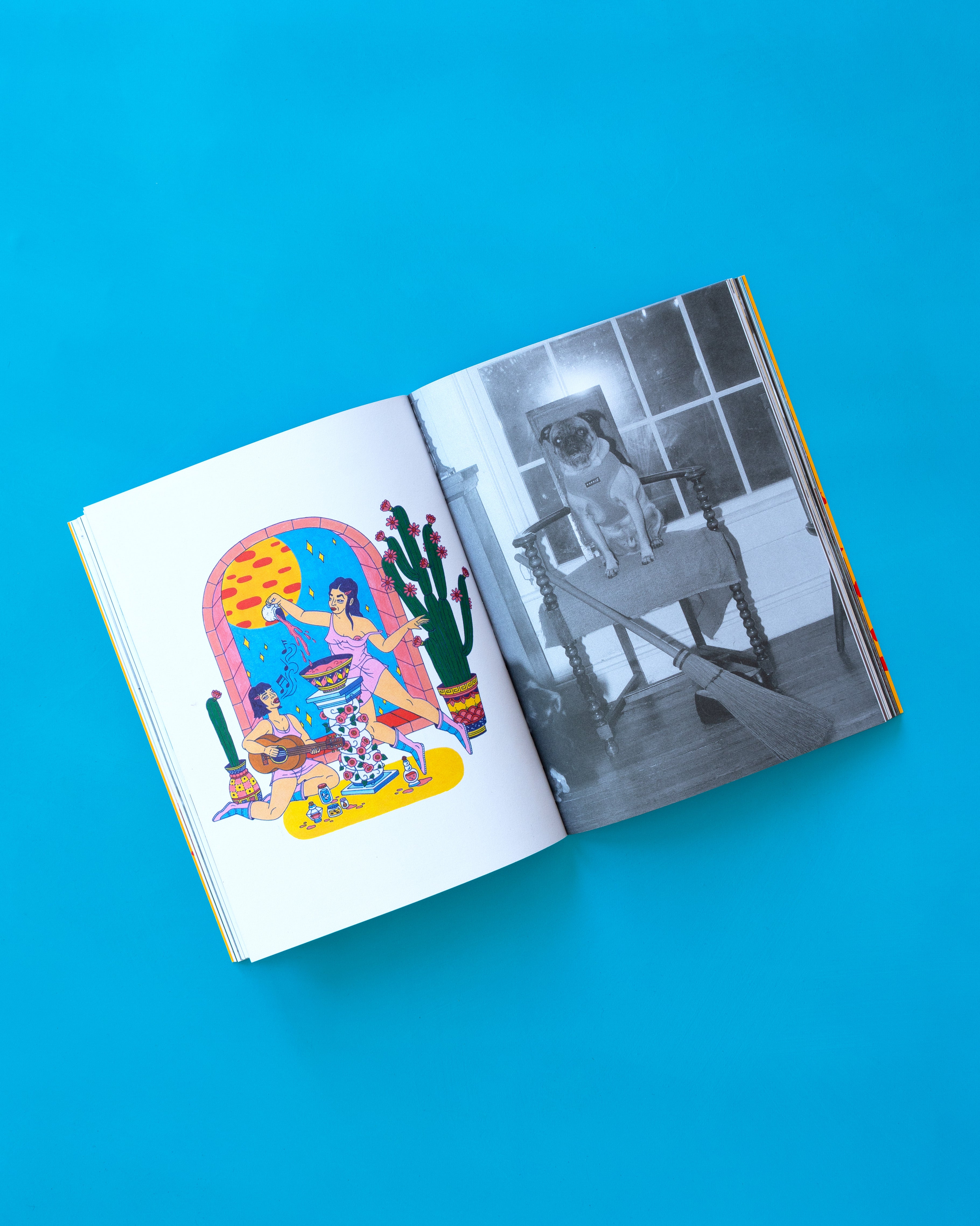 See America Whenever - Softcover Book