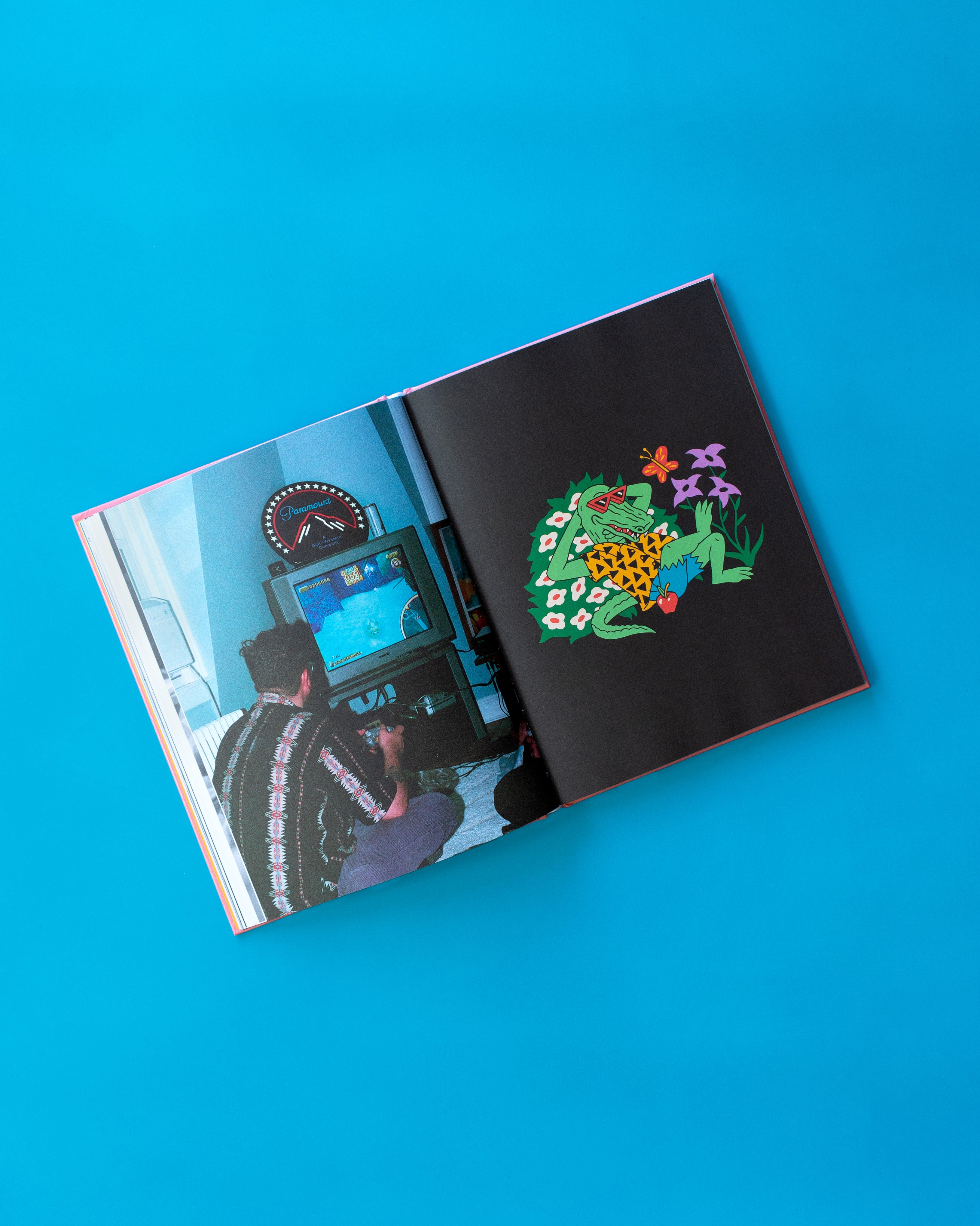 See America Whenever - Softcover Book