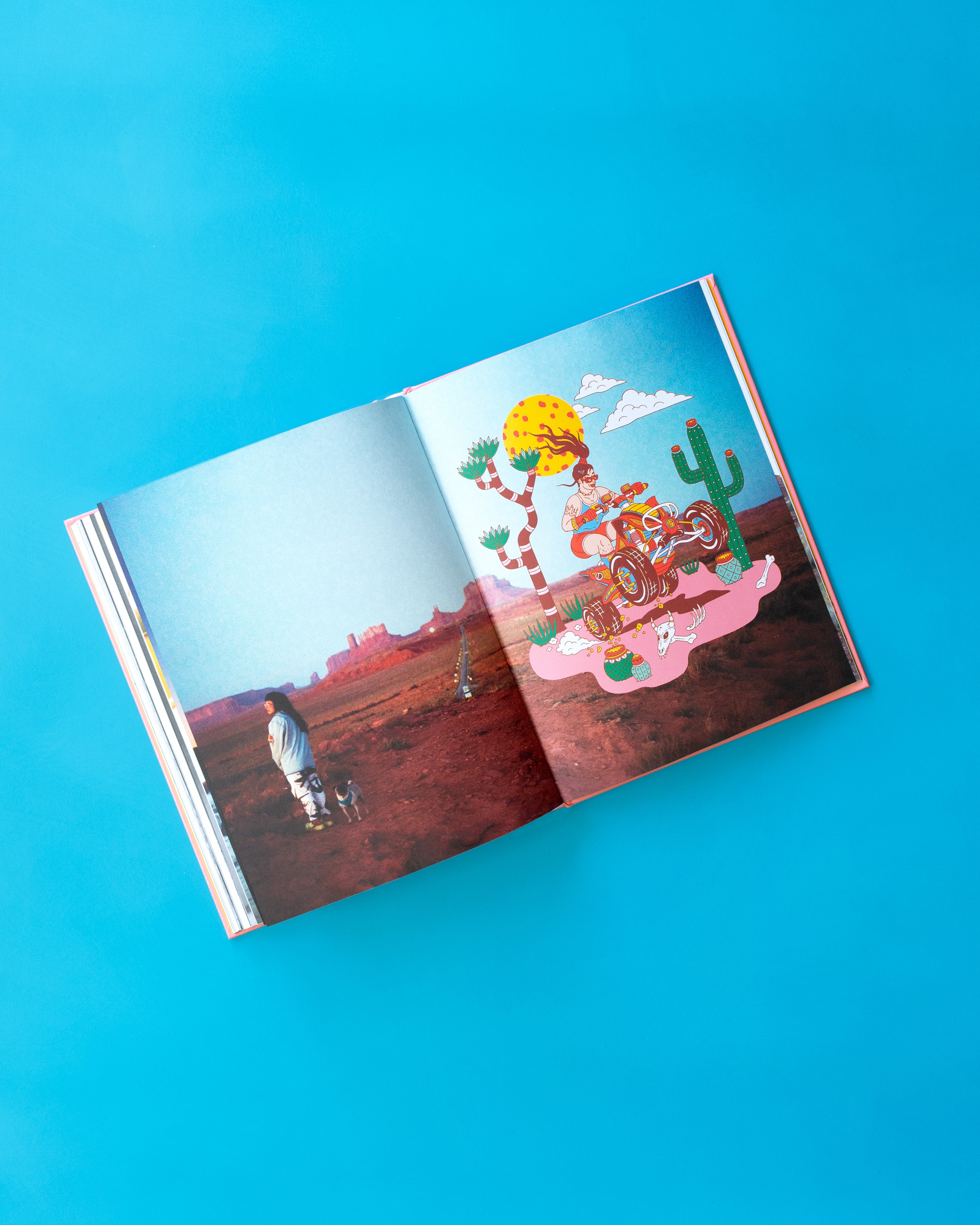 See America Whenever - Softcover Book