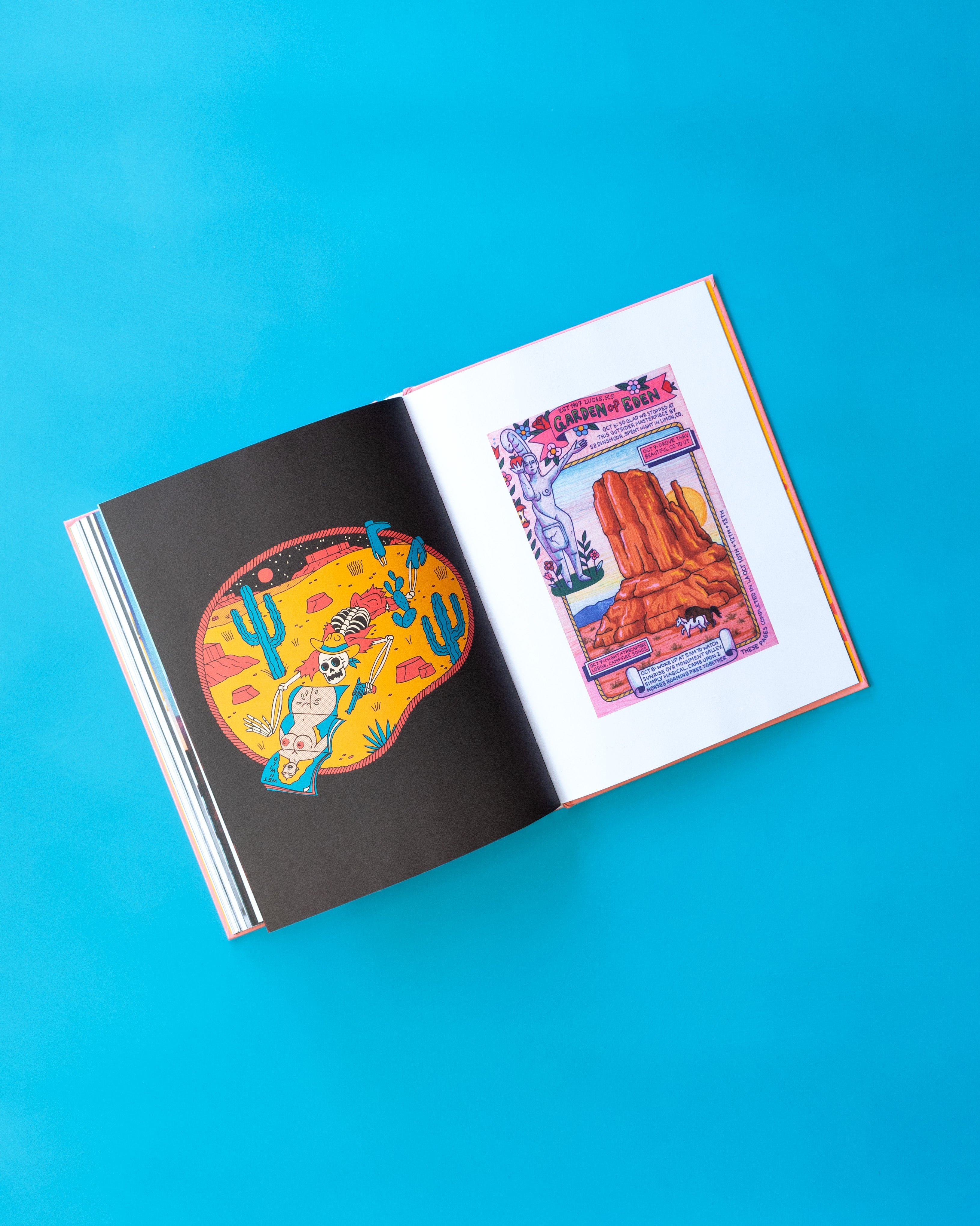 See America Whenever - Softcover Book